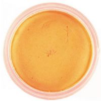028632025024 - PowerBait uden glimmer - FLUORESCENT ORANGE
