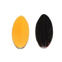 12404 - Trutta Flex Micro - 2.6 gram - Sort/Orange<BR>En nyhed indenfor individuel designet UL fiskegrej. Trutta Flex har den perfekte gang i vandet. Trutta Flex er totalt uimodståelig for de kendte sportsfisk som f.eks. regnbueørred. guldørred. Tigerørred. laks og havørred.<BR>Suveræn til Put & Take.