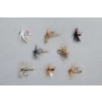 4005652161914 - Edition Fly, flue sortiment - Variant:Dry Fly - 001 6800 001<br>The most popular and best flies for catching, put together by leading fly fishing experts for a wide variety of uses. The names of the respective fly is on each blister pack as a guide for beginners.