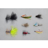 4005652161945 - Edition Fly, flue sortiment - Variant:Trout Streamer - 001 6800 004<br>The most popular and best flies for catching, put together by leading fly fishing experts for a wide variety of uses. The names of the respective fly is on each blister pack as a guide for beginners.