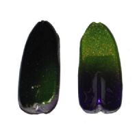 747191904303 - Greyhound Inliner - 7 gram - Sort/Grøn/Lilla
<BR>
Den har en vuggende aktion med tung ende som er dybdegående i vandet og fiskes bedst langsomt. Denne agn er sublim til sø, i åen og på kysten.