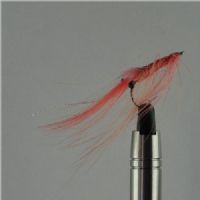 A0141 - Saltvands - Pattegrisen Spay Salmon Pink - Farve: Laks - Str. : 6