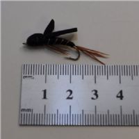 PAR0133 - Long Shank - Foam Emerger Black - Farve: Sort - Str. : 10