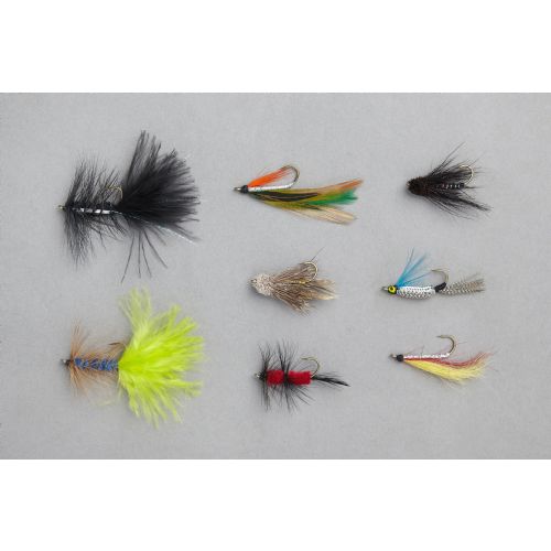 4005652161945 - Edition Fly, flue sortiment - Variant:Trout Streamer - 001 6800 004<br>The most popular and best flies for catching, put together by leading fly fishing experts for a wide variety of uses. The names of the respective fly is on each blister pack as a guide for beginners.
